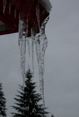 Old Man Winter Icicle