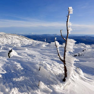 Click to enlarge SA siberia