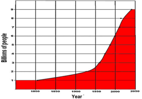 Global Population Graph