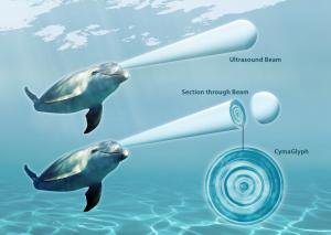 Click to enlarge cetacean words
