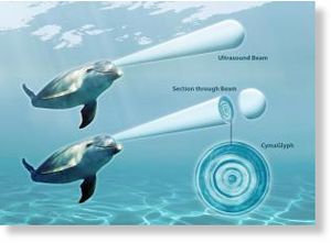 Click to enlarge cetacean words