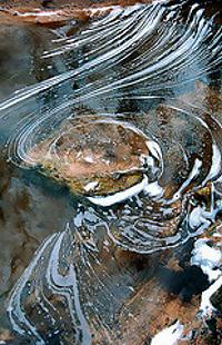 Foam on a stream in southeast Indiana