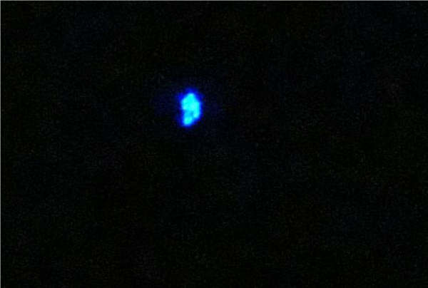 Victoria UFO II