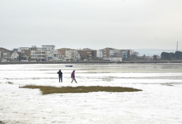 Frozen sea