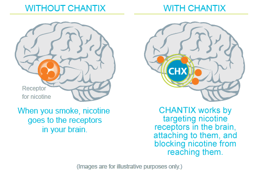 champix brain illustration