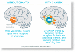 champix brain illustration