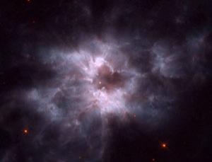 White dwarfs