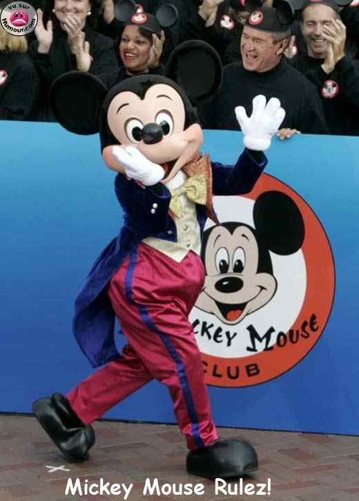 Click to enlarge Mickey Rulez