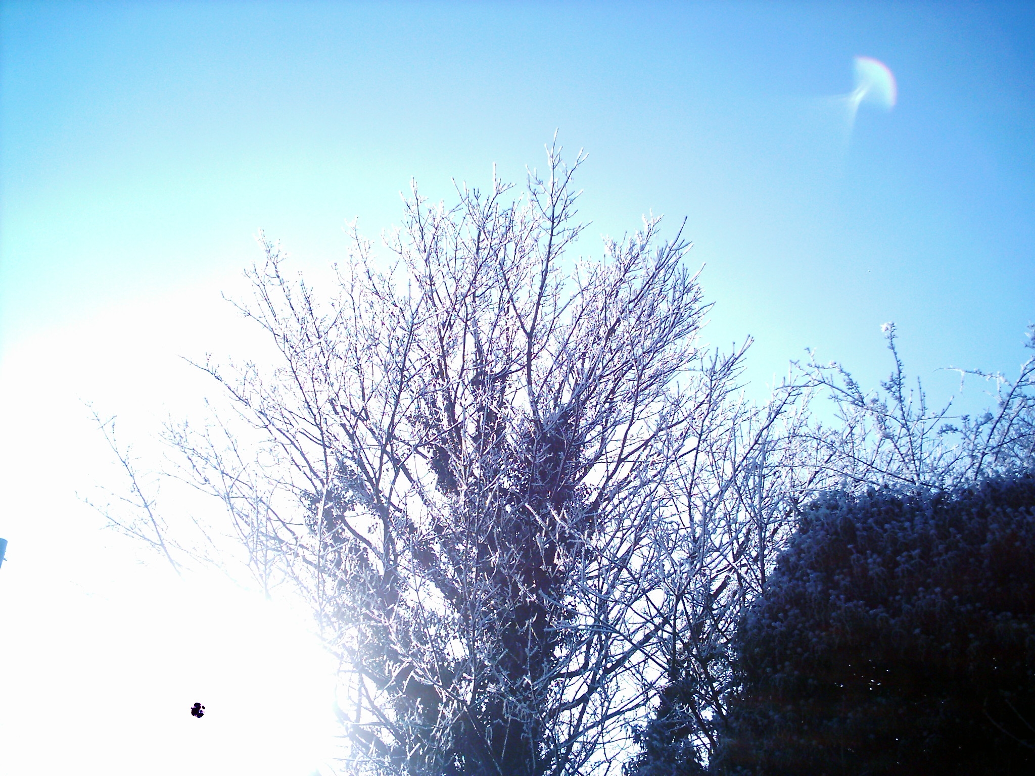Click to enlarge Purley ufo
