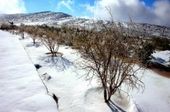 Click to enlarge Snow