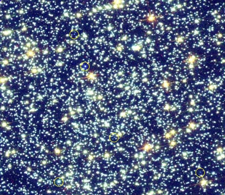 Stars