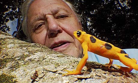 David Attenborough