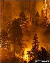 Click to enlarge Wildfire