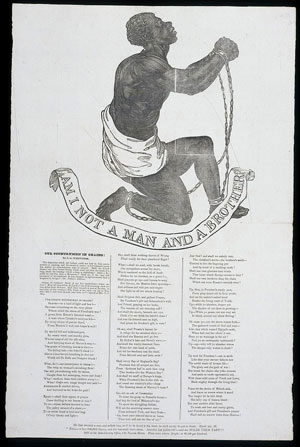 Click to enlarge Image