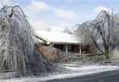 Ice Storm South US jan 2009