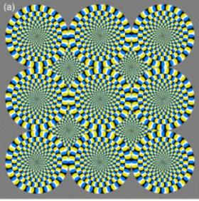 Rotating Snakes