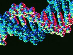 atomic structure of a DNA molecule