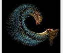 Click to enlarge Pompeii Worm