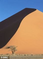 Click to enlarge Namiba