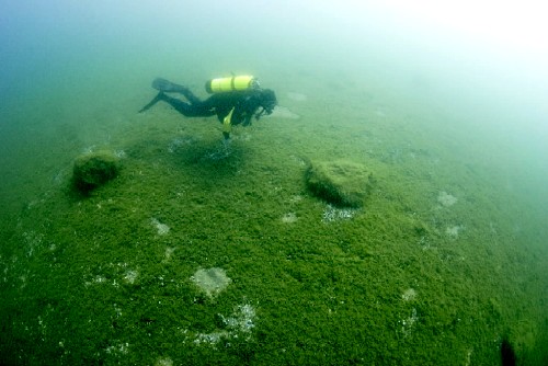 Stones in Lake Michigan