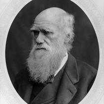 Click to enlarge Charles Darwin