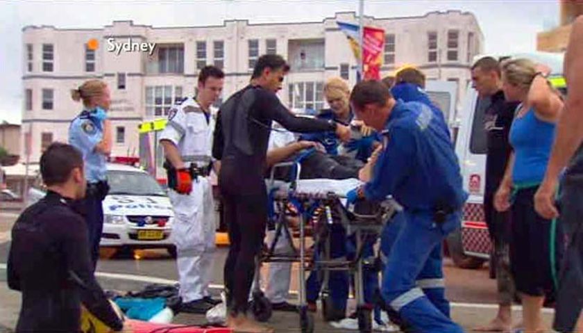 Second shark attack