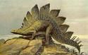 Click to enlarge Stegosaurus