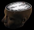 Human Brain