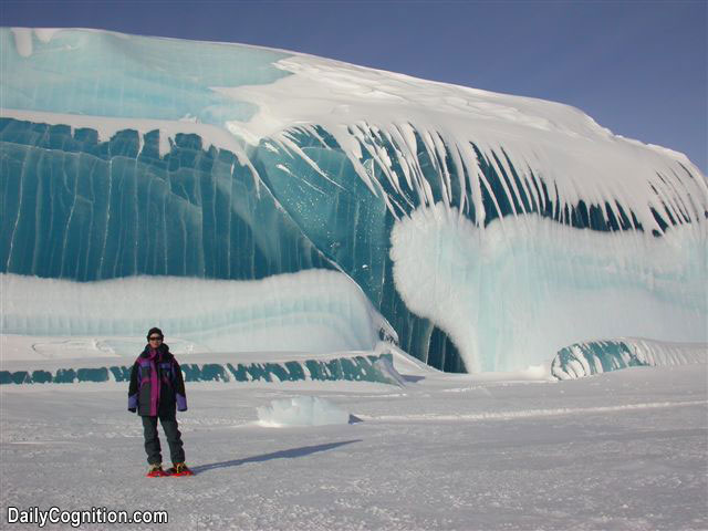 Antarctic Iceberg