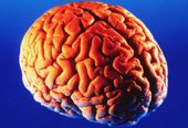 Click to enlarge color psychology