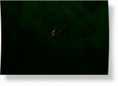 Click to enlarge North Carolina ufo II