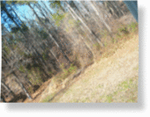 Click to enlarge Woods