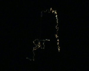 MUFON database photo