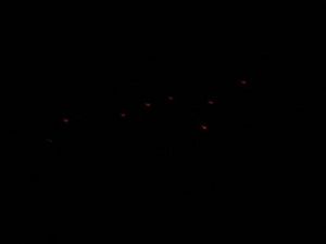 lights over Morris 