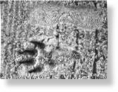 Paw print