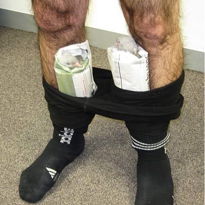 Pigeons Pants