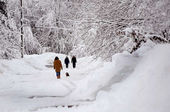 Snowstorm Maine
