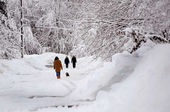 Click to enlarge Snowstorm Maine