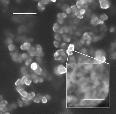 Nano-particle drugs