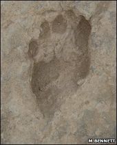 footprint