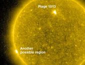 Solar Cycle 24 sunspot 1013 Feb 2009