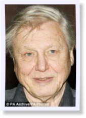 Click to enlarge Sir David Attenborough