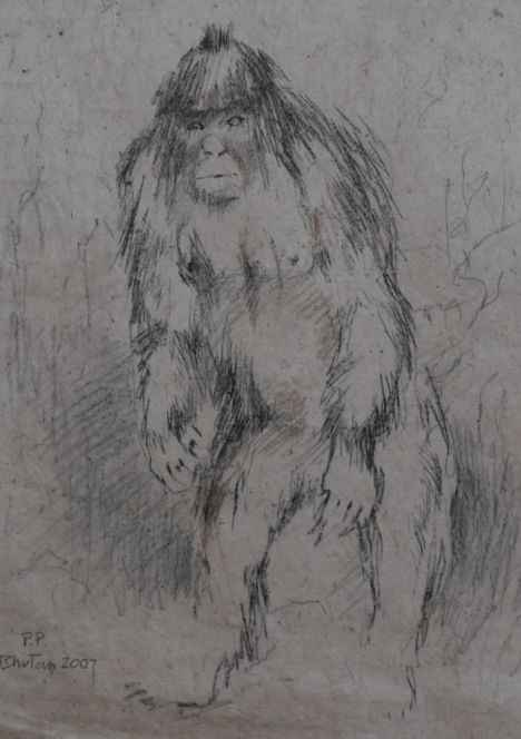 Click to enlarge Yeti image