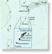 Amami Isands map
