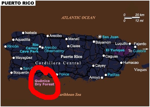 Puerto Rico map