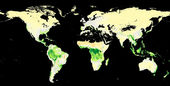 carbon absorbtion worldwide