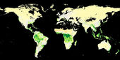 Click to enlarge carbon absorbtion worldwide