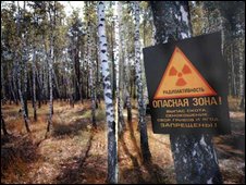 chernobyl insect study
