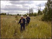 chernobyl researchers