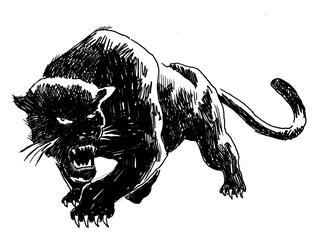 Panther-image